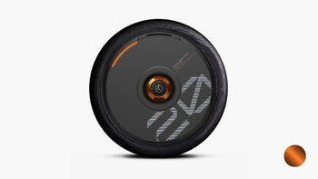 Orange + Black