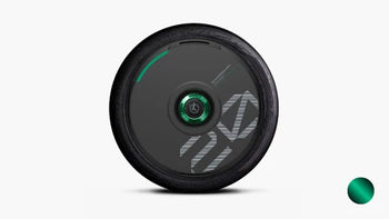 Green + Black